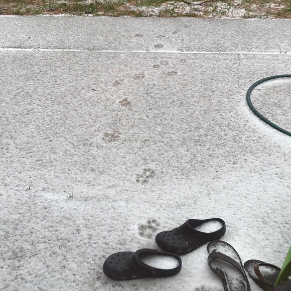 Meet your Posher, Carissa - Picture 1 of 1